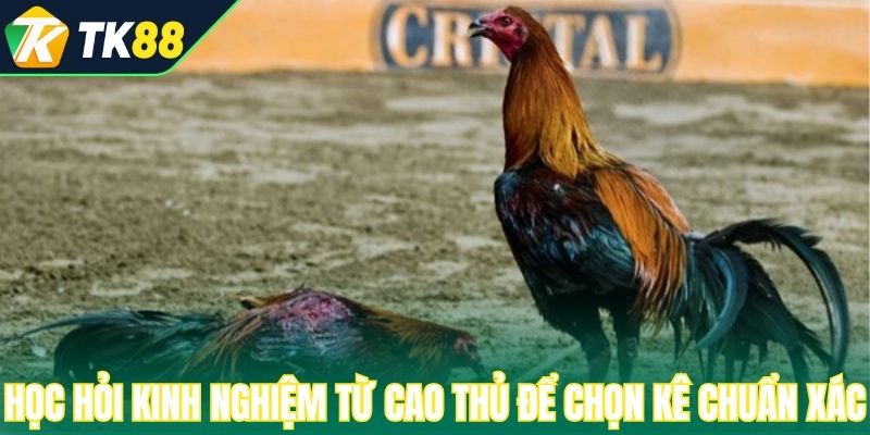 Học hỏi kinh nghiệm từ cao thủ để chọn kê chuẩn xác