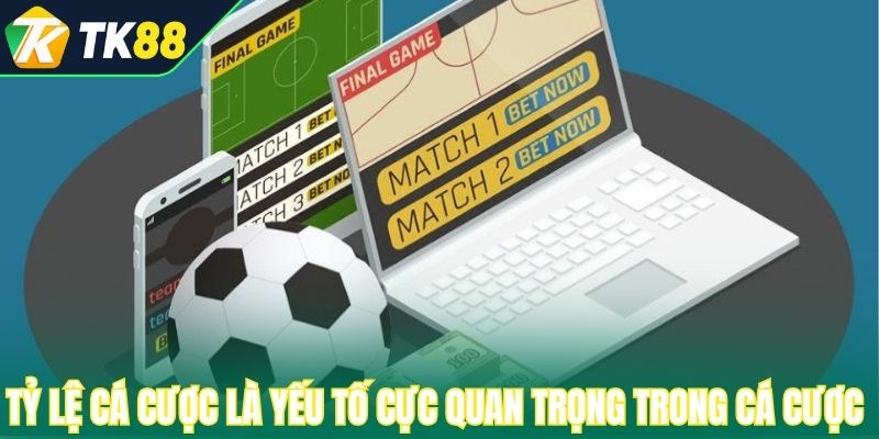 Tỷ lệ cá cược là yếu tố cực quan trọng trong cá cược